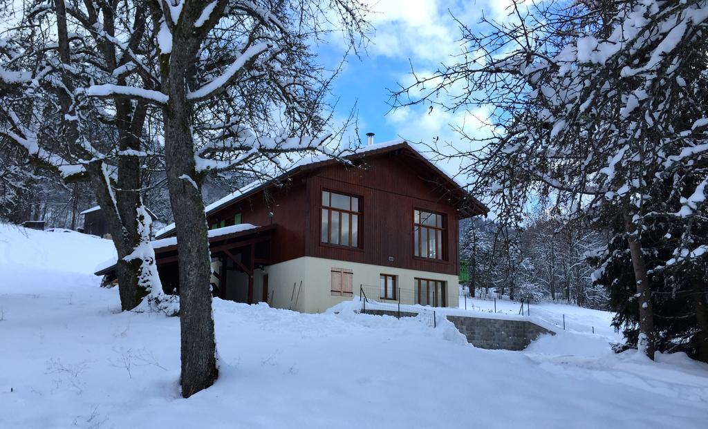 Le Green Chalet Villard-sur-Boege Εξωτερικό φωτογραφία