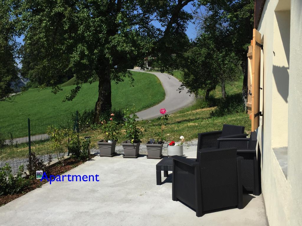 Le Green Chalet Villard-sur-Boege Εξωτερικό φωτογραφία
