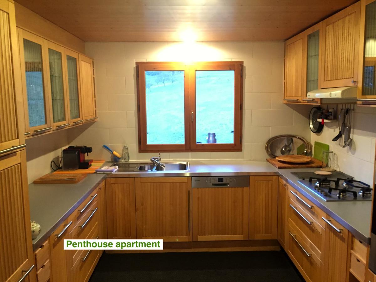 Le Green Chalet Villard-sur-Boege Εξωτερικό φωτογραφία