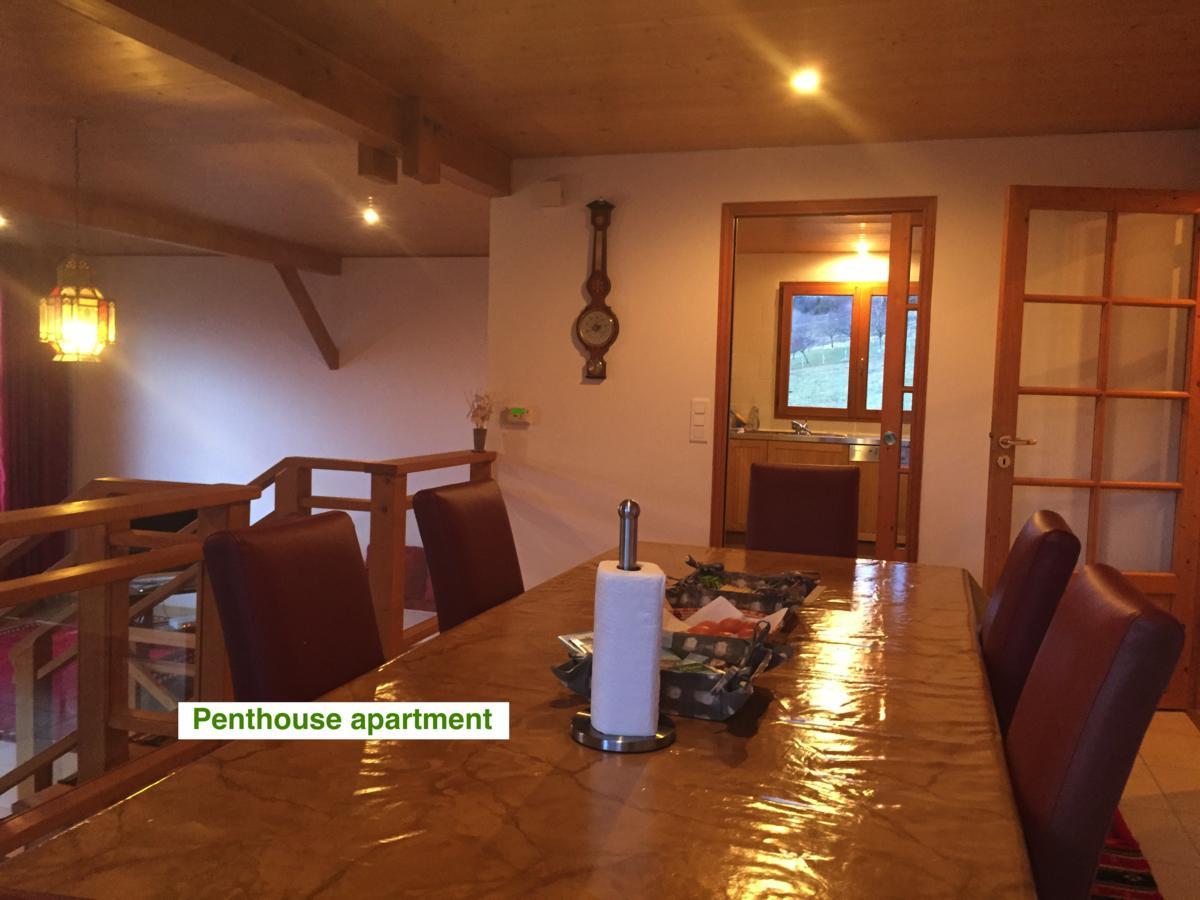 Le Green Chalet Villard-sur-Boege Εξωτερικό φωτογραφία