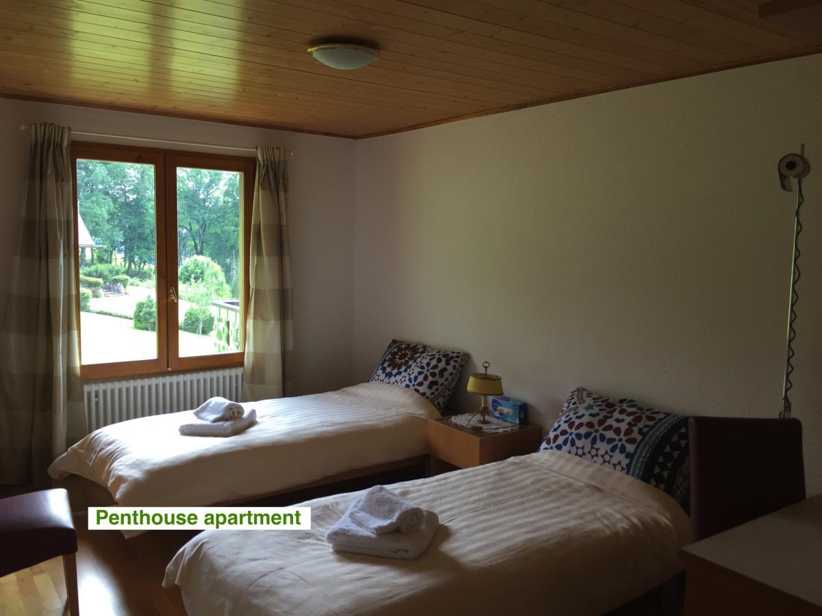 Le Green Chalet Villard-sur-Boege Εξωτερικό φωτογραφία