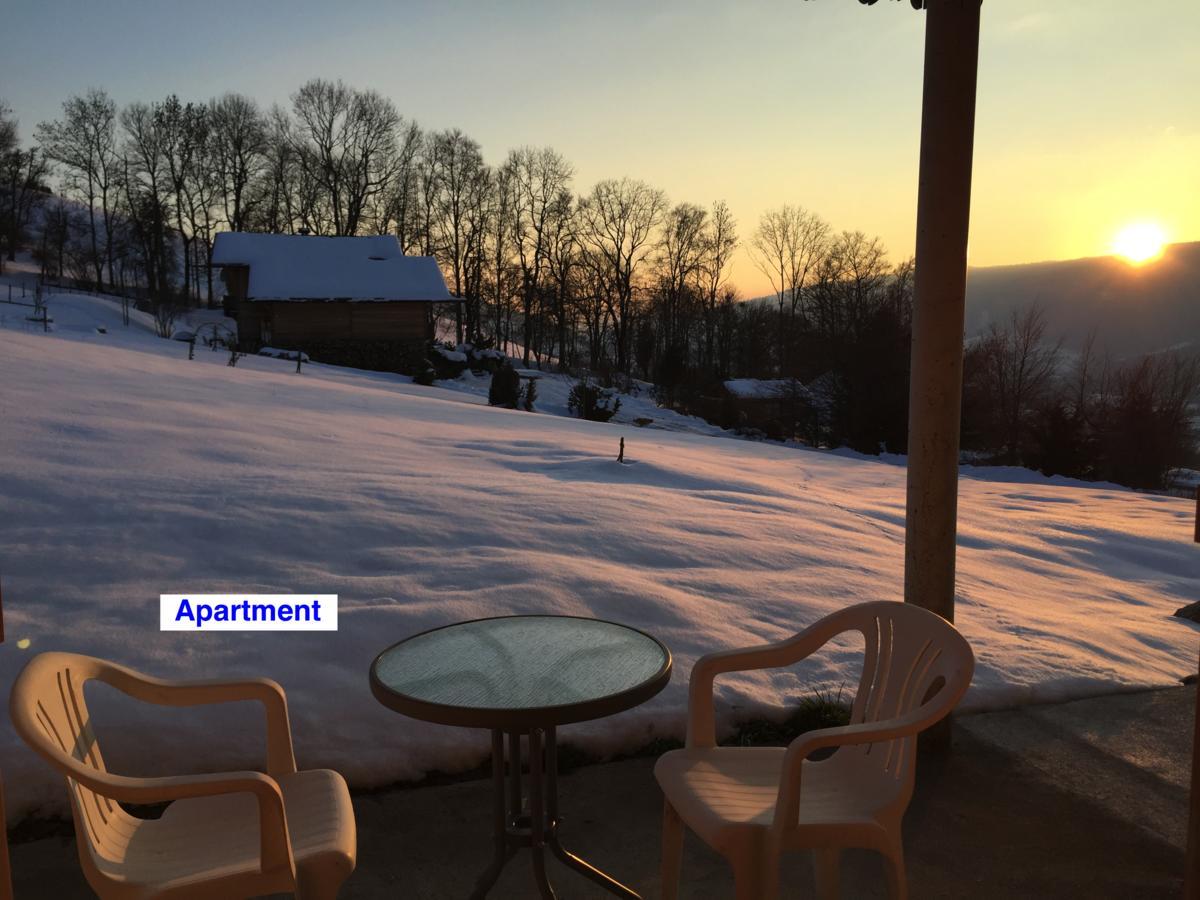 Le Green Chalet Villard-sur-Boege Εξωτερικό φωτογραφία